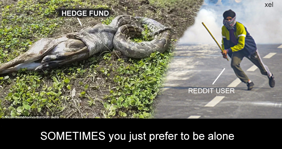 Reddit users on wallstreet vs hedge funds