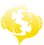 Horoscope Sign of Zodiac Pisces Stjernetegn fiskene